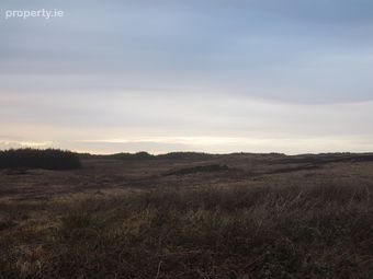 Tyreda Upper, Tulla, Co. Clare - Image 4