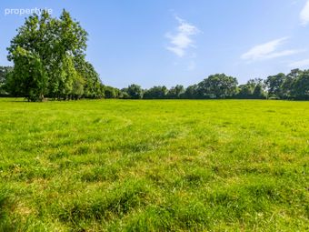 Lot 2 - North Land At Lisnavagh, Lisnavagh, Co Carlow, R93 K162, Rathvilly, Co. Carlow - Image 3