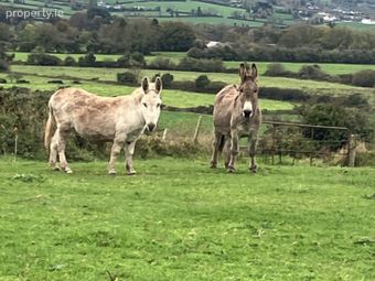 Ballynoulty, Kildorrery, Mitchelstown, Co. Cork, Mitchelstown, Co. Cork