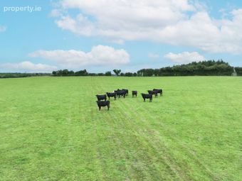 Knockdrin, Rhode, Co. Offaly - Image 3