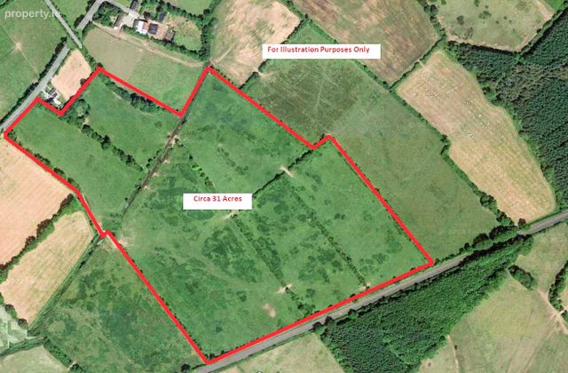 Lands Ballyholahan West, Clanwilliam, Emly, Tipperary, Hospital, Co. Limerick - Click to view photos