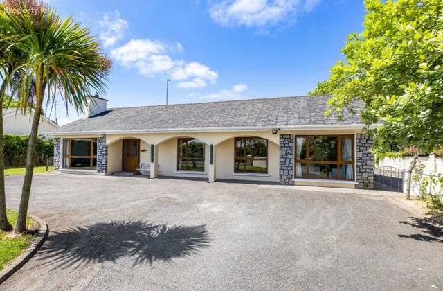 Rio Grande, Macetown, Ratoath, Co. Meath - Click to view photos