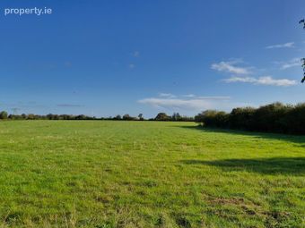 46 Acres Of Land In Knocknagur, Tuam, Co. Galway, Mullagh, Co. Galway - Image 3
