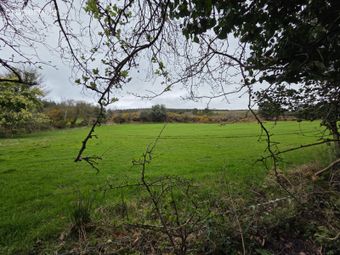 Tincurry, Cahir, Co. Tipperary - Image 3
