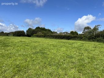 Creagh, Gorey, Co. Wexford, Gorey, Co. Wexford