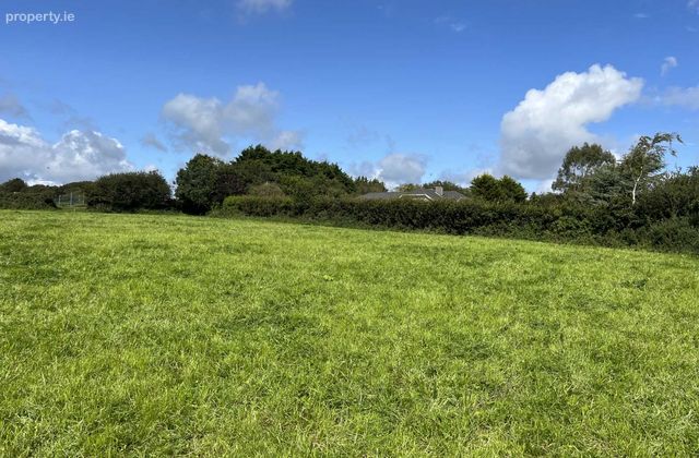 Creagh, Gorey, Co. Wexford, Gorey, Co. Wexford - Click to view photos