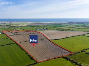 C. 22 Acres Weneytown, Duncormick, Co. Wexford - Image 2
