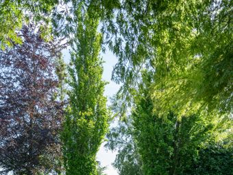4 Lower Glencairn, Riverstown, Glanmire, Co. Cork, Riverstown, Co. Cork - Image 5