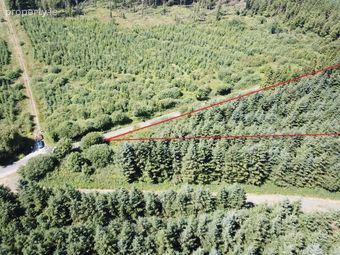 Forestry Land At Smithstown, Mullinavat, Co. Kilkenny, Mullinavat, Co. Kilkenny