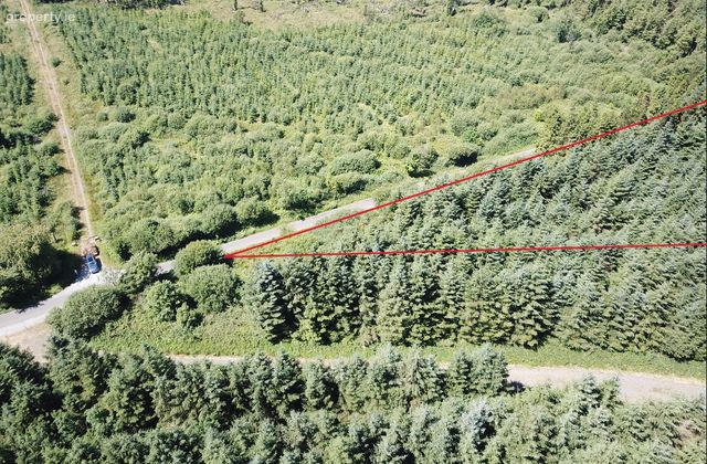 Forestry Land At Smithstown, Mullinavat, Co. Kilkenny, Mullinavat, Co. Kilkenny - Click to view photos