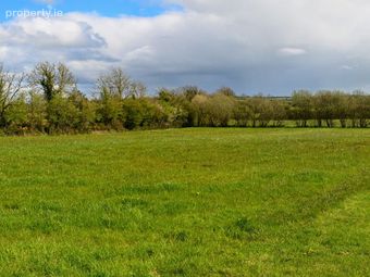Ballynolan, Freshford, Three Castles, Co. Kilkenny - Image 5