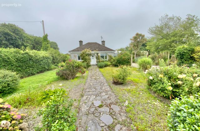 Pride O'morn, Bogland, Clogga, Co. Wicklow - Click to view photos