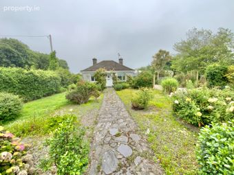 Pride O'morn, Bogland, Clogga, Co. Wicklow