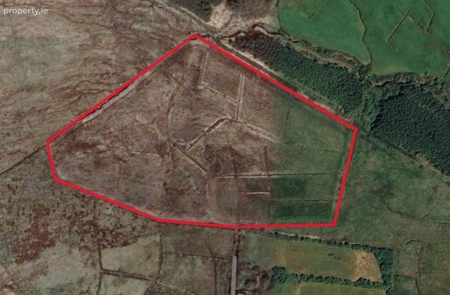 Ref 1128 - Forestry Lands, Maulin, Aghatubrid, Cahersiveen, Co. Kerry - Click to view photos