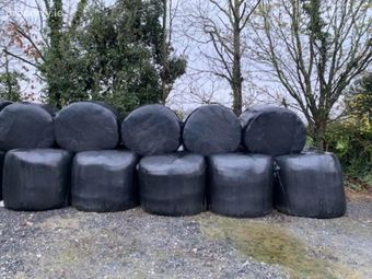 40 Round Bales Of Silage, Nenagh, Co. Tipperary, Carney, Co. Tipperary