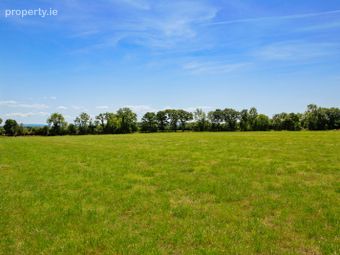 Lot 1 - Land At Newtown, Bonnettstown, Co. Kilkenny, Tullaroan, Co. Kilkenny - Image 4