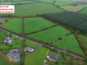 Doonane, Crettyard, Co. Laois - Image 4