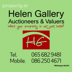 Helen Gallery Auctioneers and Valuers