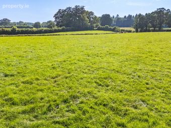 Whole: Lands &amp; Cottage, Lisnavagh, Rathvilly, Co. Carlow, Rathvilly, Co. Carlow - Image 5