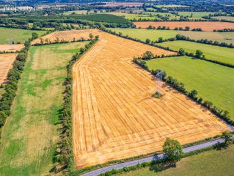 32.6 Acres Ballygibbon East, Carbury, Co. Kildare, Carbury, Co. Kildare - Image 4
