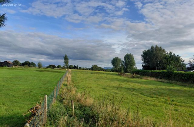 Caherconreeffy, Pallasgreen, Co. Limerick - Click to view photos