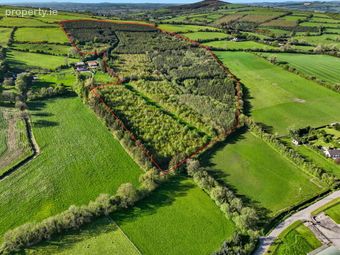 Carraigeen, Baltinglass, Co. Wicklow, Baltinglass, Co. Wicklow