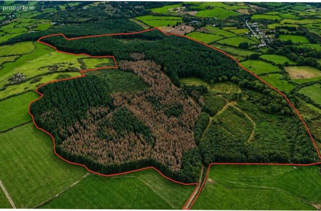 Loughdeheen, Kilmeadan, Co. Waterford - Click to view photos