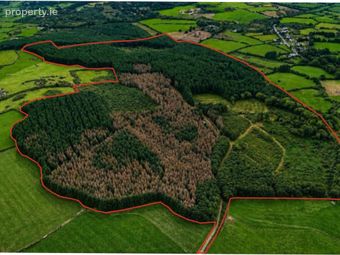 Loughdeheen, Kilmeadan, Co. Waterford