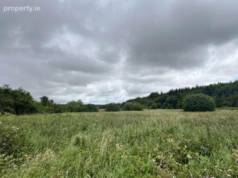 Approx, 4.77 Ha (11, 8 Acres), Ballincurry, Castlerea, Co. Roscommon, Crosswell, Co. Galway