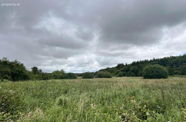 Approx, 4.77 Ha (11, 8 Acres), Ballincurry, Castlerea, Co. Roscommon, Crosswell, Co. Galway - Click to view photos