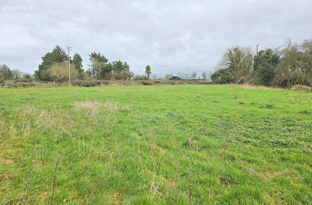Alloon, Ballymacward, Gurteen, Co. Galway - Click to view photos