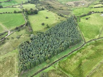 Bunnamuck, Keash, Ballymote, Co. Sligo, Ballymote, Co. Sligo - Image 5
