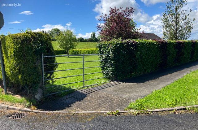 Longford Road (r-194), Ballinalee, Co. Longford - Click to view photos