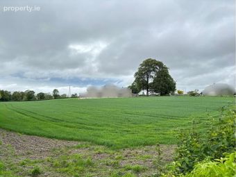 Bough, Rathvilly, Co. Carlow, Rathvilly, Co. Carlow - Image 4