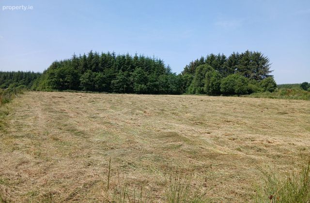 Rathbeg, Rathmore, Co. Kerry - Click to view photos