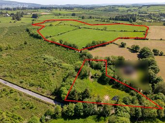 Circa 40 Acres, Touraneena, Ballinamult, Co. Waterford - Image 2