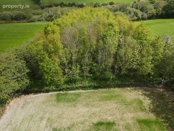 Curraghgraigue, Ballindaggin, Enniscorthy, Co. Wexford, Ballindaggan, Co. Wexford - Image 4