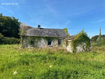 Mountblakeney, Kilmallock, Co. Limerick, Kilmallock, Co. Limerick - Image 2