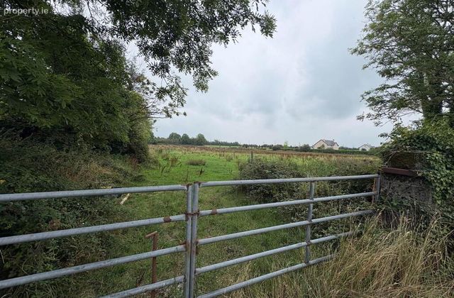 Ballyrobin, Newcastle West, Co. Limerick, Newcastle West, Co. Limerick - Click to view photos
