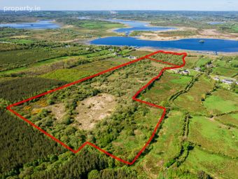 Land For Sale, Carrigeen And Kilgarve, Co. Roscommon, Rooskey, Co. Roscommon