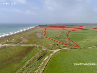 Ringbawn/ballagh Land (132.5 Acres), Tacumshane, Co Wexford, Tacumshane, Co. Wexford - Image 5