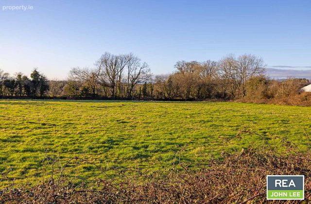 Gortnavarnogue, Newport, Co. Tipperary, Newport, Co. Tipperary - Click to view photos
