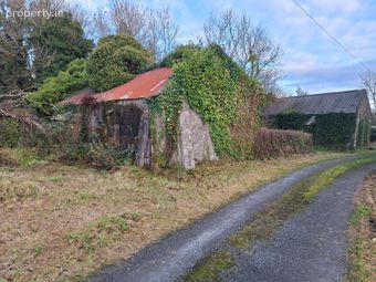Knock, Knock, Co. Mayo