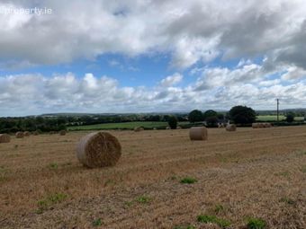 Ballycapplewood, Bantis, Cloughjordan, Nenagh, Co. Tipperary, The Pike, Co. Tipperary - Image 2