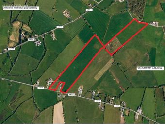 Lands At Lawrencetown, Ballinasloe, Co. Galway, Ballinasloe, Co. Galway