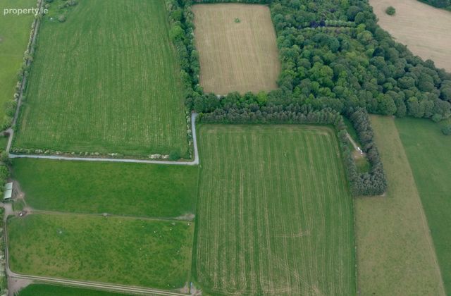 Loughmouge Upper, Dunlavin, Co. Wicklow - Click to view photos