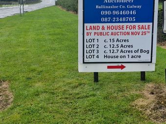 Faltia, Oldtown, Athlone, Co. Roscommon, Oldtown, Co. Roscommon