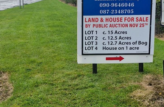 Faltia, Oldtown, Athlone, Co. Roscommon, Oldtown, Co. Roscommon - Click to view photos