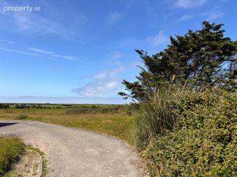 Tacumshin, Tomhaggard, Co. Wexford - Image 2