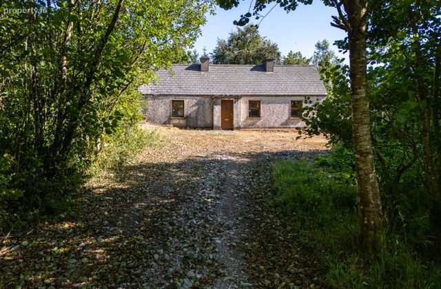 Derrylow, Boyle, Co. Roscommon, Rn3682f (for Id), Croghan, Co. Roscommon - Click to view photos